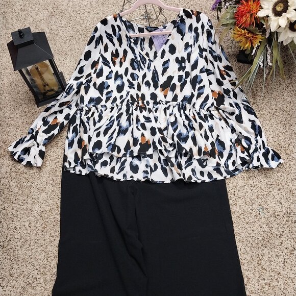 Coldwater Creek Pants - 3761 Size 2XL Shien Curve Top and Size 18 Coldwater Creek Slacks.